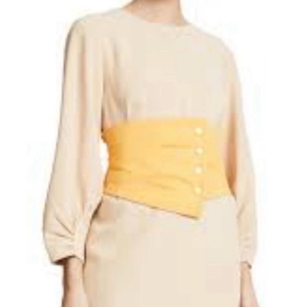 Tibi Shirred Sleeve Corset Waist Shift Dress Tan and Yellow - Picture 2 of 11